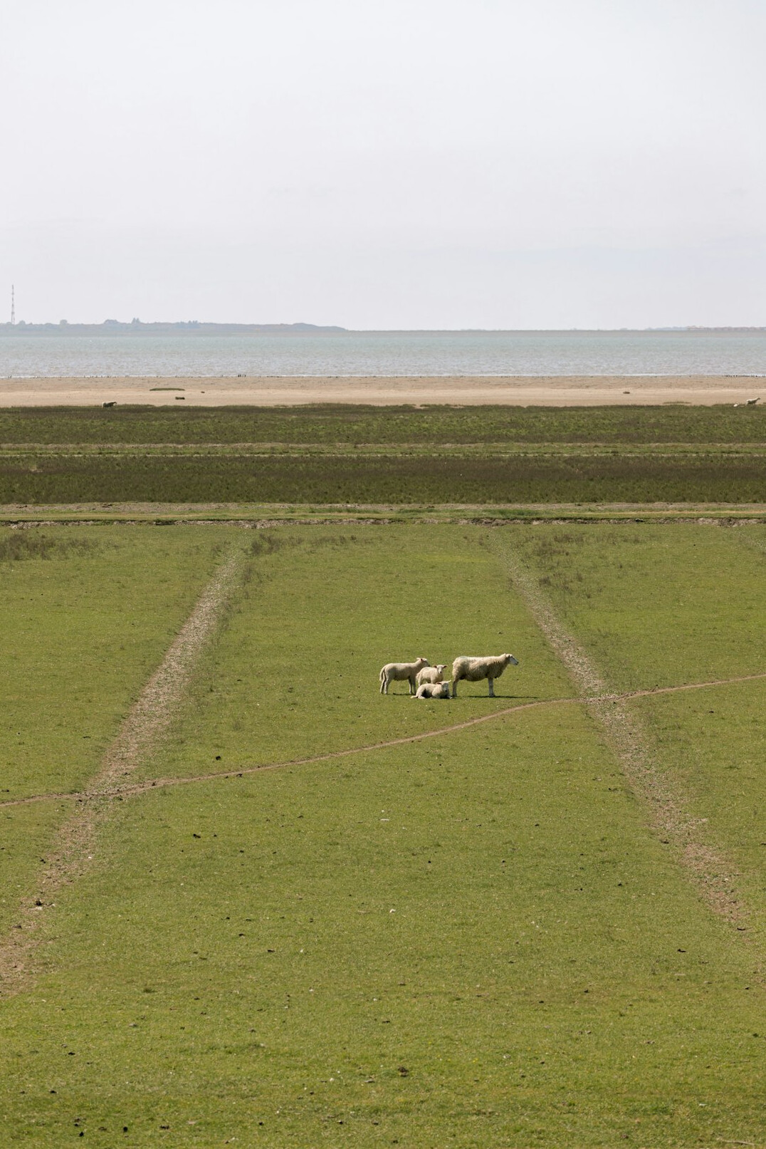 family on danish farm